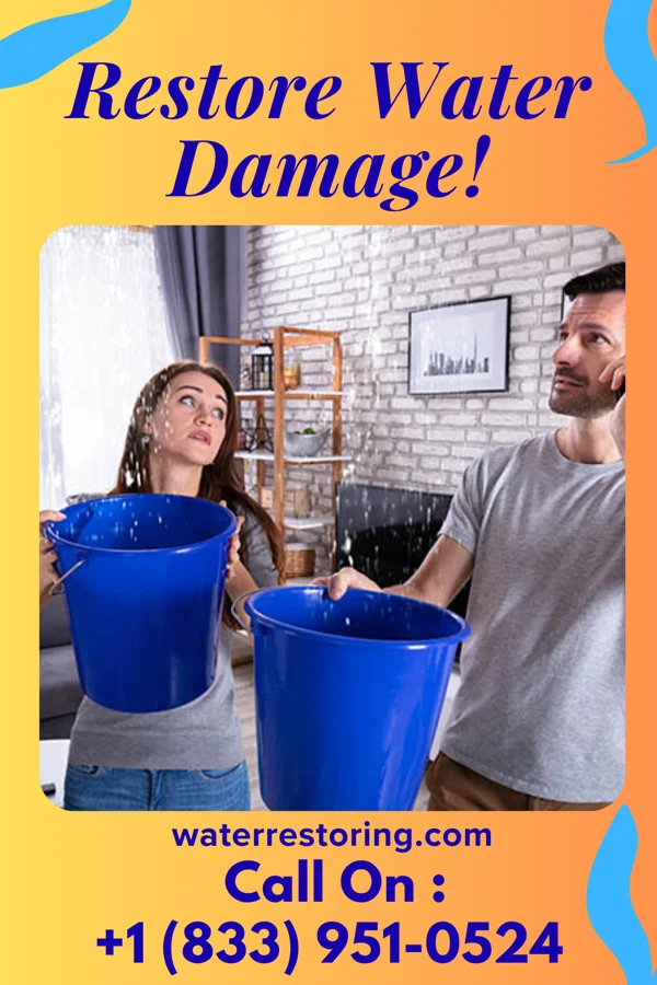 water restoration Southern Water Removal Experts Snowville