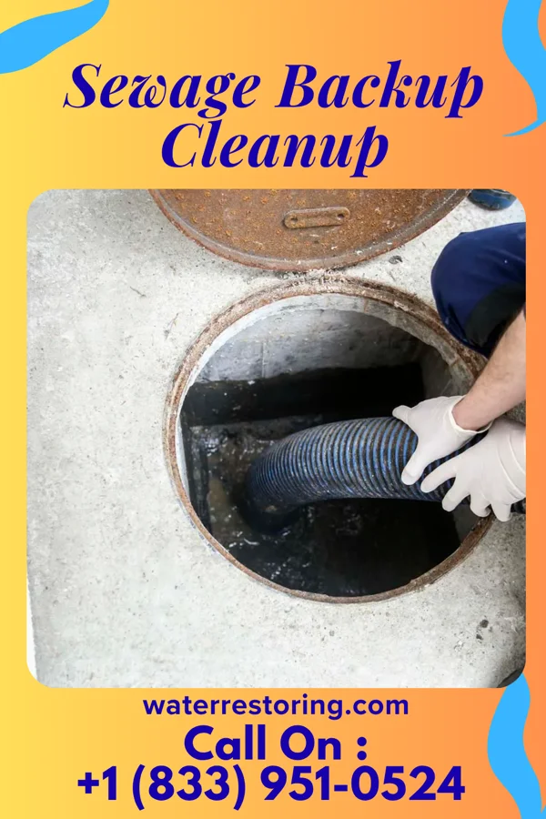 Sewage Backup Cleanup in Snowville, VA