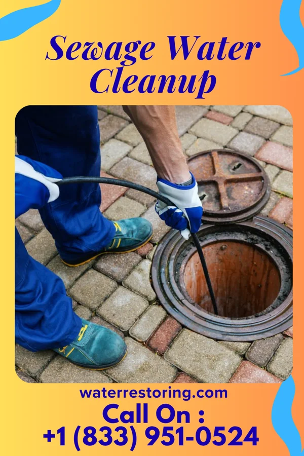 Sewage Water Cleanup in Snowville, VA