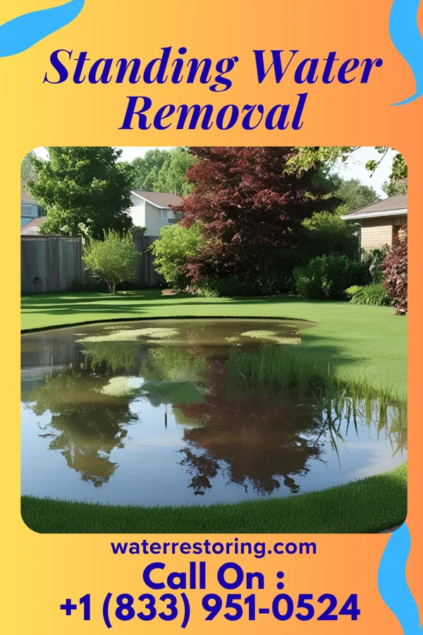 Standing Water Removal in Snowville, VA